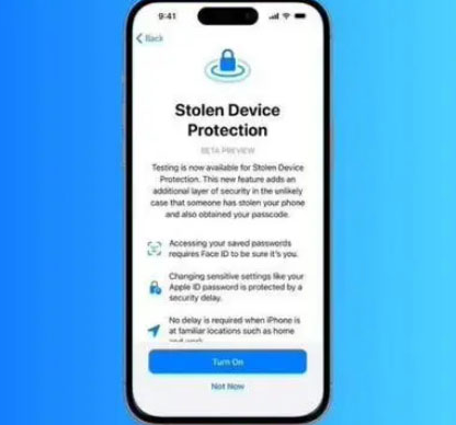 且末苹果授权维修店分享被盗设备保护功能开启方法 