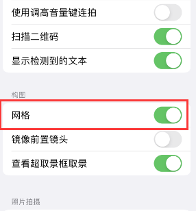 且末苹果手机维修网点分享iPhone如何开启九宫格构图功能 