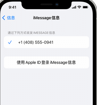 且末apple维修iPhone上无法正常发送iMessage信息 