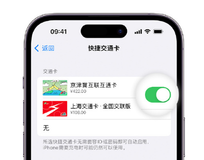 且末apple维修点分享iPhone上更换Apple Pay快捷交通卡手绘卡面 