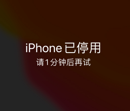 且末苹果手机维修分享:iPhone 显示“不可用”或“已停用”怎么办？还能保留数据吗？ 