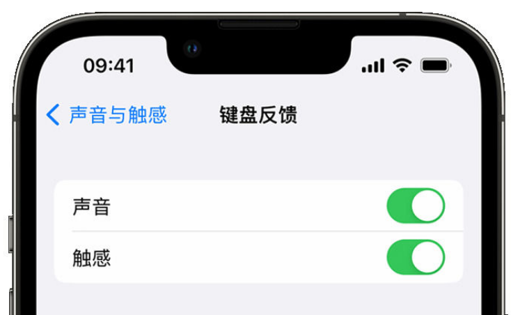 且末苹果手机维修分享iPhone 14触感键盘使用方法 