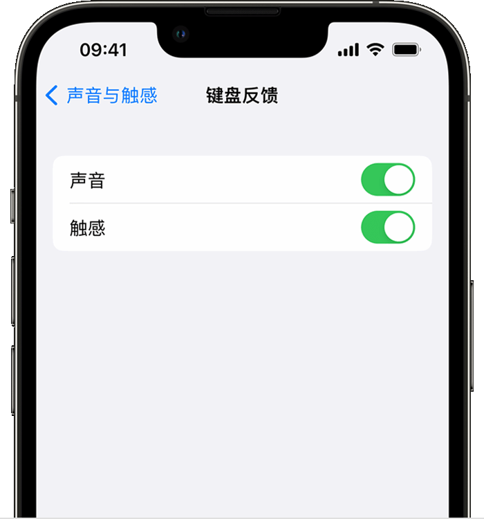 且末苹果14维修店分享如何在 iPhone 14 机型中使用触感键盘 