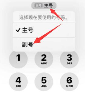 且末苹果14维修店分享iPhone 14 Pro Max使用副卡打电话的方法 