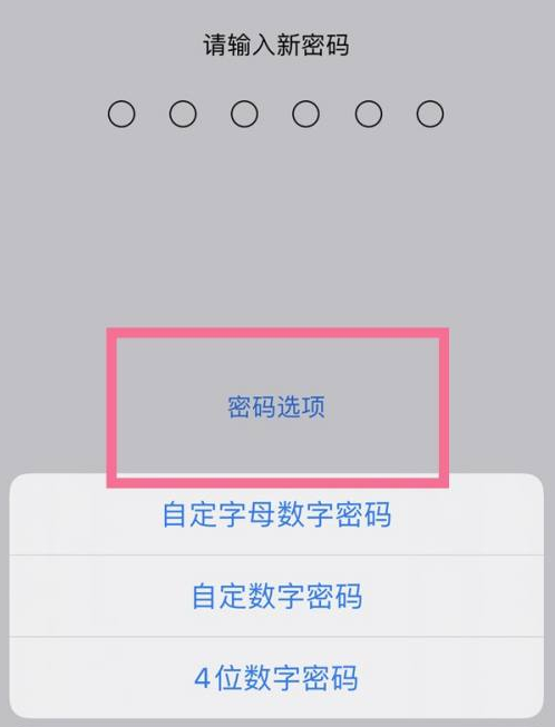 且末苹果14维修分享iPhone 14plus设置密码的方法 