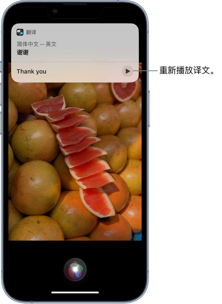 且末苹果14维修分享 iPhone 14 机型中使用 Siri：了解 Siri 能帮你做什么 