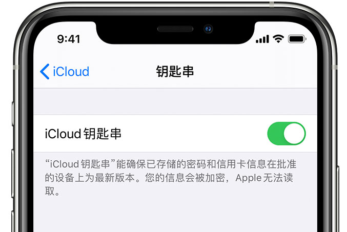 且末苹果手机维修分享在 iPhone 上开启 iCloud 钥匙串之后会储存哪些信息 