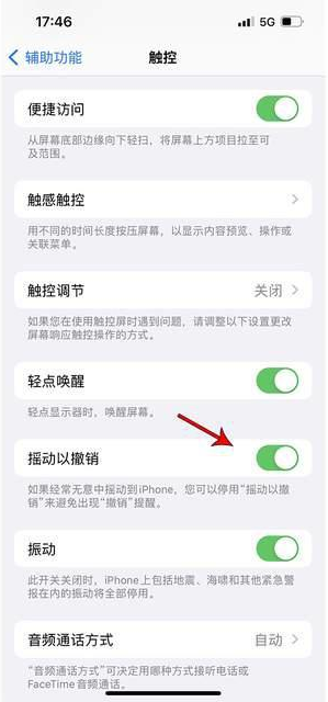 且末苹果手机维修分享iPhone手机如何设置摇一摇删除文字 