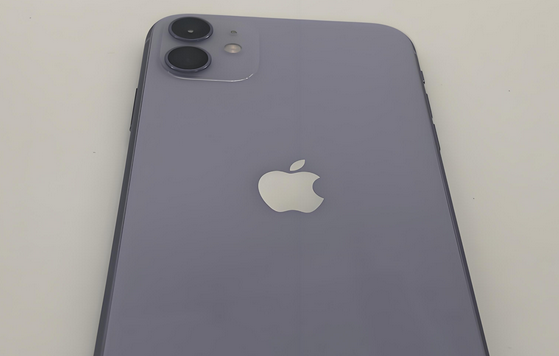 且末苹果11系统维修分享iPhone11手机系统崩溃无法开机如何解决 